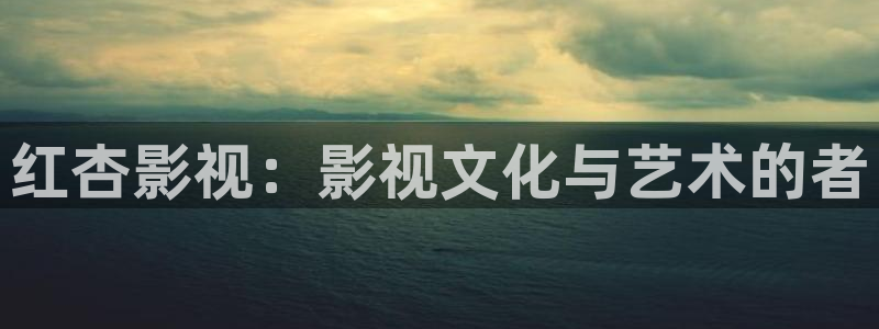 窝窝影院电视剧