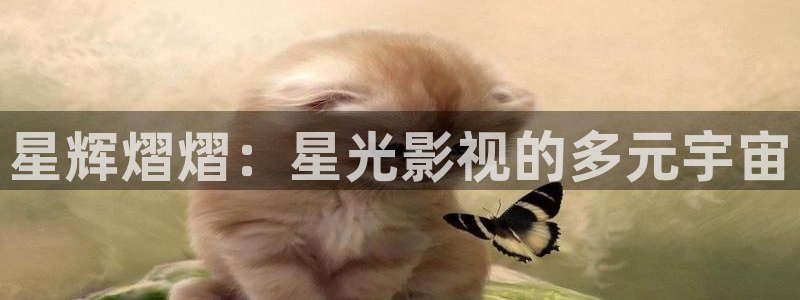 窝窝影院免费观看电视剧最新版